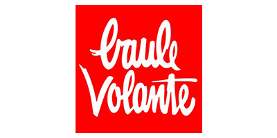 Logo_baulevolante